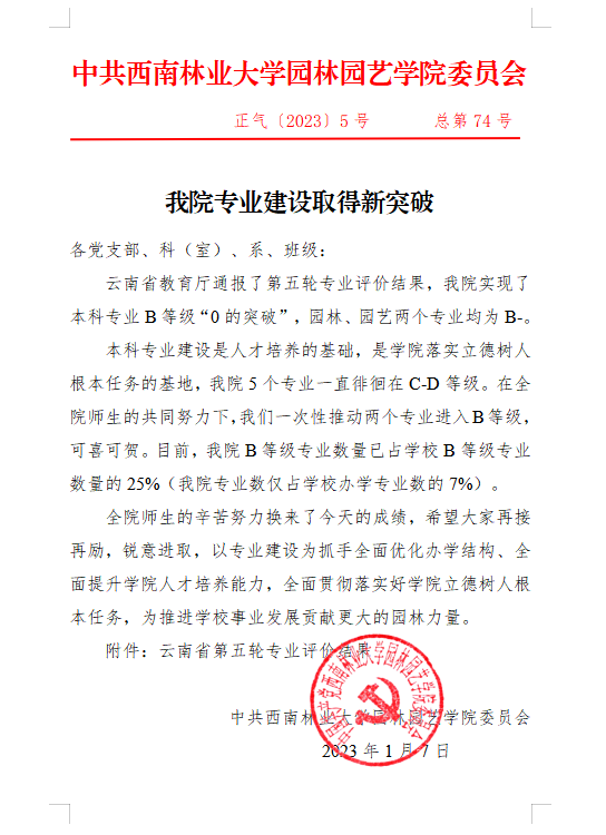 手机娱乐