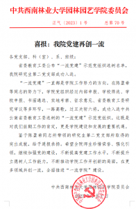 手机娱乐
