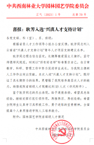 手机娱乐
