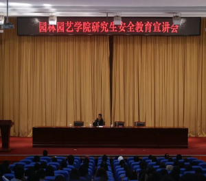 手机娱乐