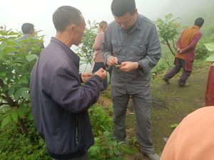 手机娱乐