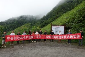 手机娱乐