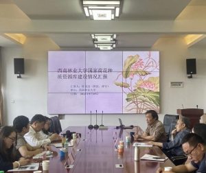 手机娱乐