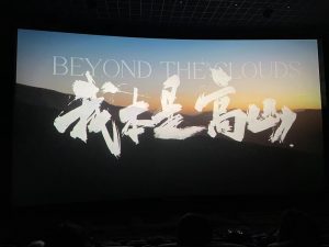 手机娱乐