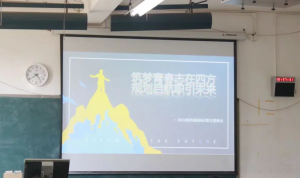 手机娱乐