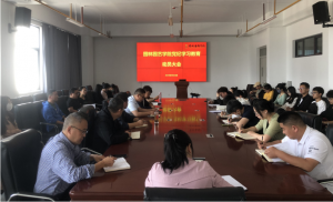 手机娱乐