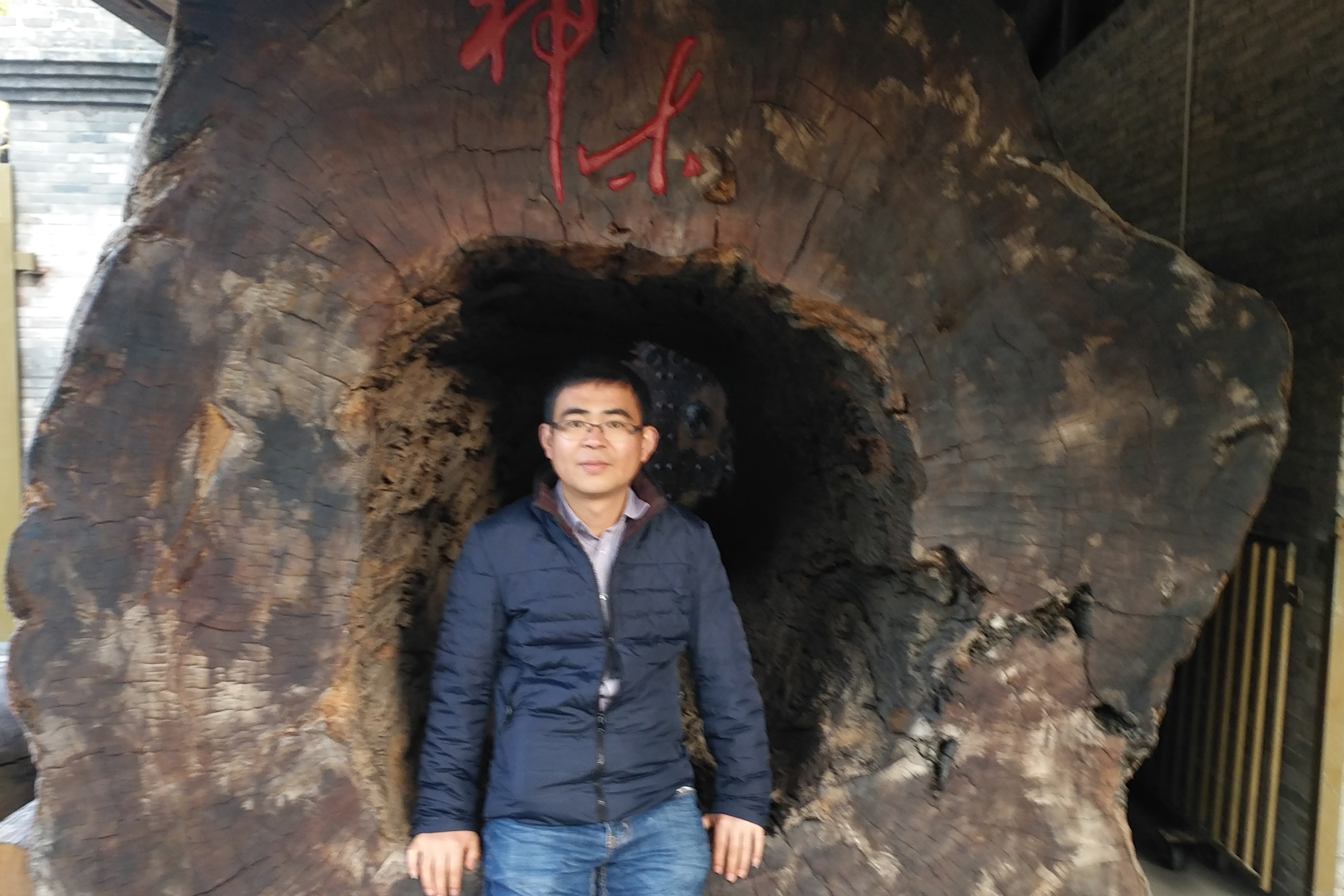 手机娱乐
