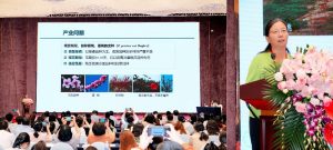 手机娱乐