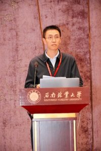 手机娱乐