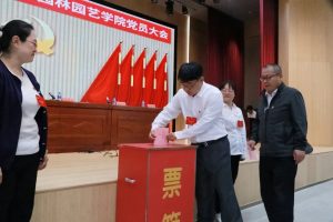 手机娱乐
