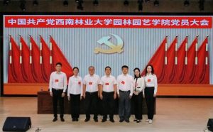 手机娱乐