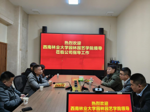 手机娱乐