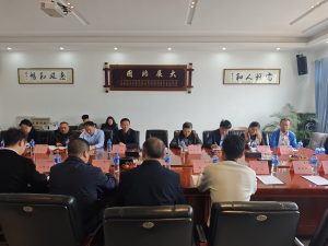 手机娱乐