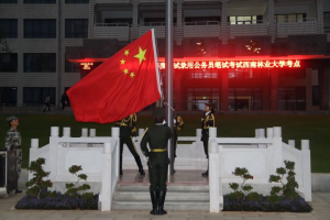 手机娱乐