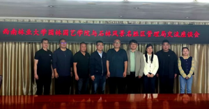 手机娱乐