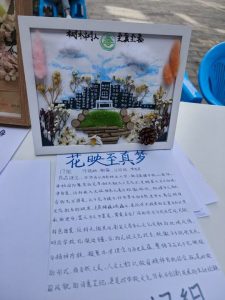 手机娱乐
